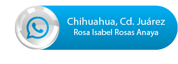 bebe ecologico Chihuahua Rosas